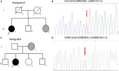 Screening Gene Mutations in Chinese Patients With Benign Essential Blepharospasm